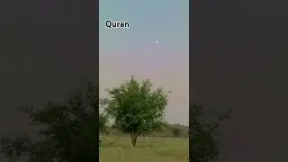 Viral islamic content#islamic knowledge in urdu#islamic lecture 2024#islamlover✨✨#@Batoolsisters02