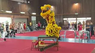 2025 OE多大杯 - 雪隆庆同乐体育会龙狮团 *7.41* OE MMU Cup Lion Dance Championship 2025