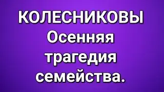 Колесниковы/Последние новости. 