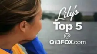 Q13 FOX Lily Jang's Top 5 Faves