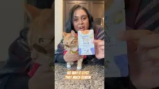 Paws and Tastebuds: Is Fancy Feast Broth a Win?