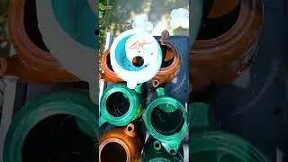 Bottles Breaking & Balloons Drop #asmr #satisfying #relaxing