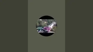 মানুষের বিবেক দেখলে আশ্চর্য হয়ে যাবেন বনের মধ্যে আগুন