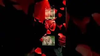 11 maggio 2025