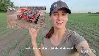 Planting Peas with a Planter!