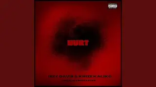 Hurt (feat. Krizz Kaliko)
