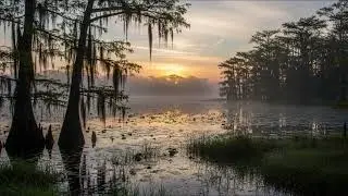 Music for Panic Attacks Gentle Piano to Regulate Breathing 🌬️