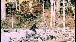Parallax - Episode 7: Bob Gimlin and the Patterson/Gimlin Bigfoot Film of  October, 1967