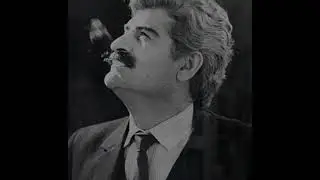 Hasan Hüseyin Korkmazgil / Akşam Delisi