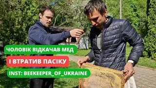 Як бджіл запустити в зиму? Чому не можна забирати мед? Мед лишіть бджолам. Бджоли це не раби