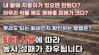 아직도 냄새나는 퇴비 사용...퇴비 사용에 따라 농사 성패가 좌우됩니다.