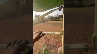 #madhaypardesh