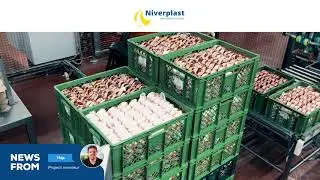 PALLETIZER WITH SPECIAL DESIGNED GRIPPERS | ONE OFF SOLUTIONS
