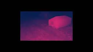 And When It's All Gone - Colony Collapse Disorder
