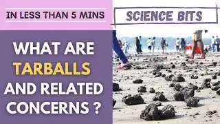 Science Bits: Что такое тарболы? Почему они вызывают беспокойство?