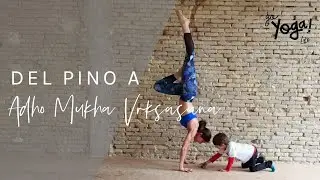 DEL PINO (O PARADA DE MANOS) A ADHO MUKHA VRKASANA