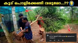 ഇത്രയും വലിയ മരം വാങ്ങിയത് അബദ്ധമായോ..!!🌳🙄Building Forest In my Home Aviary - Birds Aviary Malayalam