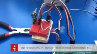Lepton Breakout Board | Build and Test (Infrared Image of Bird)