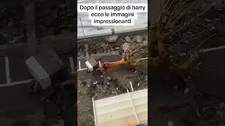Dopo il passaggio del ciclone harry inizia lago tardi danni in Sicilia 