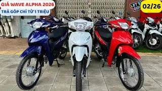 Giá Honda WAVE ALPHA 2026 Mới Nhất & Ưu Đãi Trả Góp Chỉ Hơn 1 Triệu 02/26  | Tuấn Hồng Đức 6