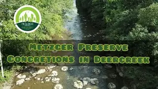 Metzger Preserve - The Concretions in Deercreek
