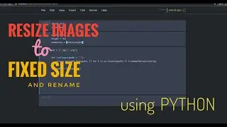 How to batch resize images to fixed dimension and rename using python | opencv