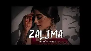 Zalima ( Slowed Reverb ) || Heartline Status #slowed #reverb #zalima