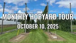 Monthly Hopyard Tour (2025-10-10) | Univ of Florida Hops Research