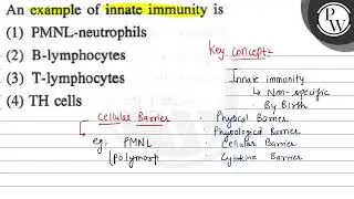 An example of innate immunity is (1) PMNL-neutrophils (2) B-lymphoc...