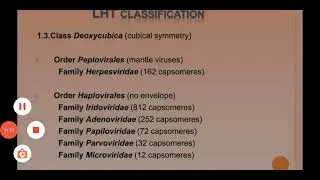 Virus Classification...ICTV.. LHT system.@easy life science
