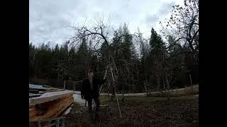 Fruit Tree Pruning with ISA Board Certified Master Arborist Michael - Part 1