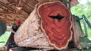 «Найден редкий вид древесины! Естественный красный цвет без покраски».