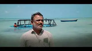 Sea Cage Farming 2022