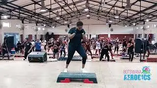 Blade Health & Fitness Lupus Awareness Aerobathon