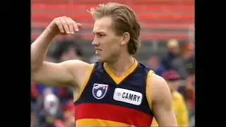 Round 19 Adelaide Crows Vs Fitzroy Lions 1993