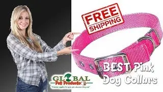 designer dog collars and leashes available here designer dog collars and leashes
