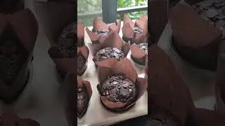 Chocolate Muffins #food #baking #chocolate #bakingislove