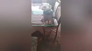 Max e Max outro Max epis&oacute;dio Max parte 1
