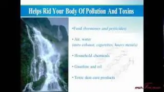 What is Zeolite?