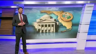 Florida legal issues that could end up on your ballot soon