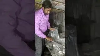 Compost Bags cutting for casing
