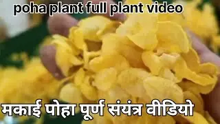 POHA PLANT KI PURI VIDEO मक्का पोहा शुद्ध Full plant video #makkapoha #plantmachinery #youtube 