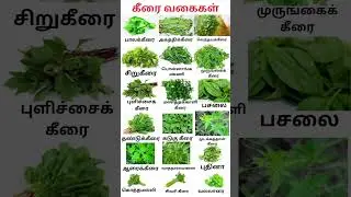 #shorts#கீரை வகைகள்# keerai name in tamil#keerai picture#🌿🪴