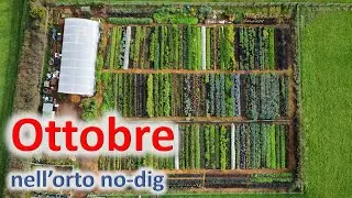 Ottobre nell'orto no-dig
