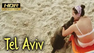 [HDR] Beach Walking in Tel Aviv (Israel) | Featuring a lot of dogs