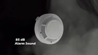 Independent Alarm Smoke Fire Sensitive Detector Home Security