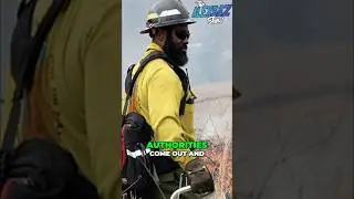 🔥 Canada&rsquo;s Fire Crisis: Gaslighting at Its Finest 🔥