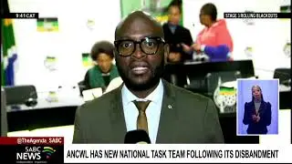 ANC Elective Conference | Women's League has new national task team following its disbandment