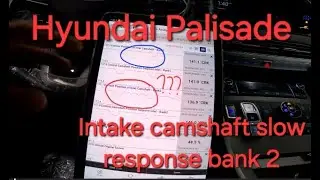 Hyundai Palisade intake camshaft slow response bank 2