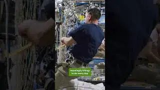 How do astronauts deal with isolation? || #astronaut #space #spacex #isolation #crew #lonely